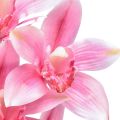 Floristik24 Cymbidium orkidea keinotekoinen 5 kukkaa vaaleanpunainen 65cm