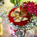 Floristik24 Kevätperhonen klipsillä kultainen kevätkoriste 6cm 10kpl setissä