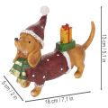 Koristeellinen mäyräkoirahahmo lahjapakkauksessa ja hatulla, 18 cm | Floristik24.fi