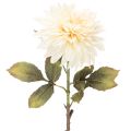 Floristik24 Keinotekoinen daalia maljakkoon 68cm