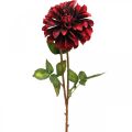 Floristik24 Keinotekoinen kukka Dahlia punainen silkkikukka syksy 78cm Ø3/15cm