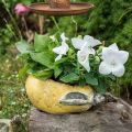 Floristik24 Koristeellinen päärynä, Keraaminen koristeluun, syksy, kasvi ruukku L25cm H11cm