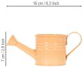 Koristeellinen kastelukannu-istutusastiasetti, metallia, 8 osaa, monivärinen, 16,5x7 cm - ihanteellisia kasviruukkuja parvekkeelle ja keittiöön | Floristik24.fi