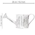 Koristeellinen kastelukannu, istutuskannu, kastelukannu istutukseen Ø10.5cm | Floristik24.fi
