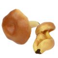 Floristik24 Koristeelliset sienisekoitukset vaaleanruskea 8cm - 11cm 13kpl