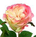 Floristik24 Koristeellinen ruusu vaaleanpunainen Ø10cm 52cm 3kpl