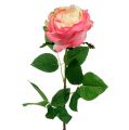 Floristik24 Koristeellinen ruusu vaaleanpunainen Ø10cm 52cm 3kpl