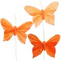 Floristik24 Deco butterfly oranssi 12kpl
