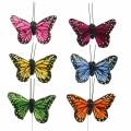 Floristik24 Koristeelliset perhoset langalla värillinen 5,5cm 24kpl 24kpl