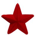 Floristik24 Deco tähti punainen parveni 20cm