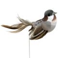 Floristik24 Koristeellinen lintu harmaa, ruskea 8,5cm 12kpl