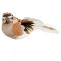 Floristik24 Koristeellinen lintu kiinni ruskea 10cm 12kpl