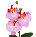 Floristik24 Koristeellinen orkidea vaaleanpunaisessa ruukussa H29cm