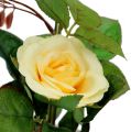 Floristik24 Koristeellinen ruusu keltaisessa ruukussa 23cm
