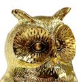 Floristik24 Koristeellinen pöllö kulta, kiiltävä 12cm 4kpl