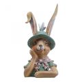Floristik24 Deco kani kanin rintakuva koristeena figuuri kanin pää 18cm
