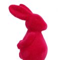 Floristik24 Koristeelliset kanit, parveilevat, valikoituja. 13cm 8kpl