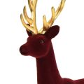 Floristik24 Deco Deer Poro Bordeaux Gold Figurine Flocked H37cm