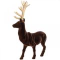 Floristik24 Deco deer iso ruskea kulta koristefiguuri Christmas 40cm