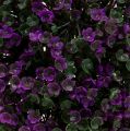 Floristik24 Koristepallo violetti kukista kasvipallo keinotekoinen Ø15cm 1kpl