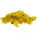 Deco sammal keltainen poro sammalta käsityöhön sitruunankeltainen 500g