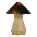 Koristeellinen sienisieni puinen luonnonruskea kiiltoefekti Ø7,5cm K10cm