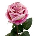 Floristik24 Koristeellinen ruusutäytteinen vaaleanpunainen Ø10cm L65cm 3kpl