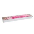 Floristik24 Deco perhonen pinkki-vaaleanpunainen lajike. 6cm 24kpl