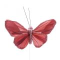 Floristik24 Deco-perhonen langalla höyhenperhonen pinkki 10×6cm 12kpl