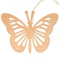 Floristik24 Deco perhoset deco ripustin oranssi/vaaleanpunainen/keltainen 12cm 12kpl