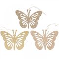 Floristik24 Deco perhoset deco henkari beige/pinkki/keltainen 12cm 12kpl