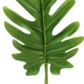 Floristik24 Koristeelliset lehdet Philodendron green W11cm L34cm 6kpl