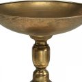 Floristik24 Koristekulho jalassa Koristelautanen kultainen antiikin näköinen Ø28cm H26cm