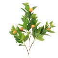 Floristik24 Koristeellinen appelsiinioksa ja kukat Keinooranssi oksa 78cm