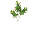 Koristeellinen appelsiinioksa ja kukat Keinooranssi oksa 78cm | Floristik24.fi