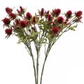 Floristik24 Ohdake Keinotekoinen Kukka Punainen Burgundy 10 kukan päät 68cm 3kpl 3kpl