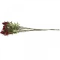 Floristik24 Ohdake Keinotekoinen Kukka Punainen Burgundy 10 kukan päät 68cm 3kpl 3kpl