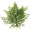 Floristik24 Keinotekoinen saniaisen oksa, useita oksia, vihreä, 68 cm