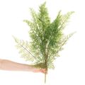 Keinotekoinen saniaisen oksa, useita oksia, vihreä, 68 cm | Floristik24.fi