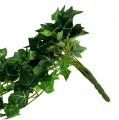 Floristik24 Ivy-lanka vihreä 70cm