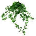 Floristik24 Ivy ripustin vihreä 60cm