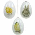 Floristik24 Pääsiäismunat ripustettavaksi eläinkuvioilla poikasen, linnun, kanin valkoinen lajitelma 3kpl