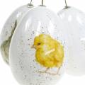 Floristik24 Pääsiäismunat ripustettavaksi eläinkuvioilla poikasen, linnun, kanin valkoinen lajitelma 3kpl