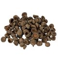 Floristik24 Luonnonväriset tammenterhojen hatut, koristeelliset kulhot syksyyn ja adventtiin, 2 cm, 300 g