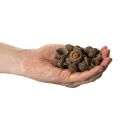 Luonnonväriset tammenterhojen hatut, koristeelliset kulhot syksyyn ja adventtiin, 2 cm, 300 g | Floristik24.fi