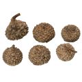 Luonnonväriset tammenterhojen hatut, koristeelliset kulhot syksyyn ja adventtiin, 2 cm, 300 g | Floristik24.fi