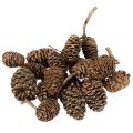 Floristik24 Leppäkävyt, luonnontuote koristeluun ja askarteluun, kultaa, 3 cm, 300 g