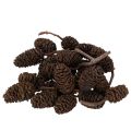Floristik24 Luonnonvärisiä leppäkävyjä, irtonaisia, koristeeksi, 3 cm, 300 g, luonnonruskea.