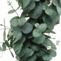 Floristik24 Eukalyptus ruukussa tekokasvi Keinotekoinen kasvikoristelu H87cm
