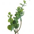 Floristik24 Keinotekoinen eukalyptuksen oksa vihreä 37cm 6kpl